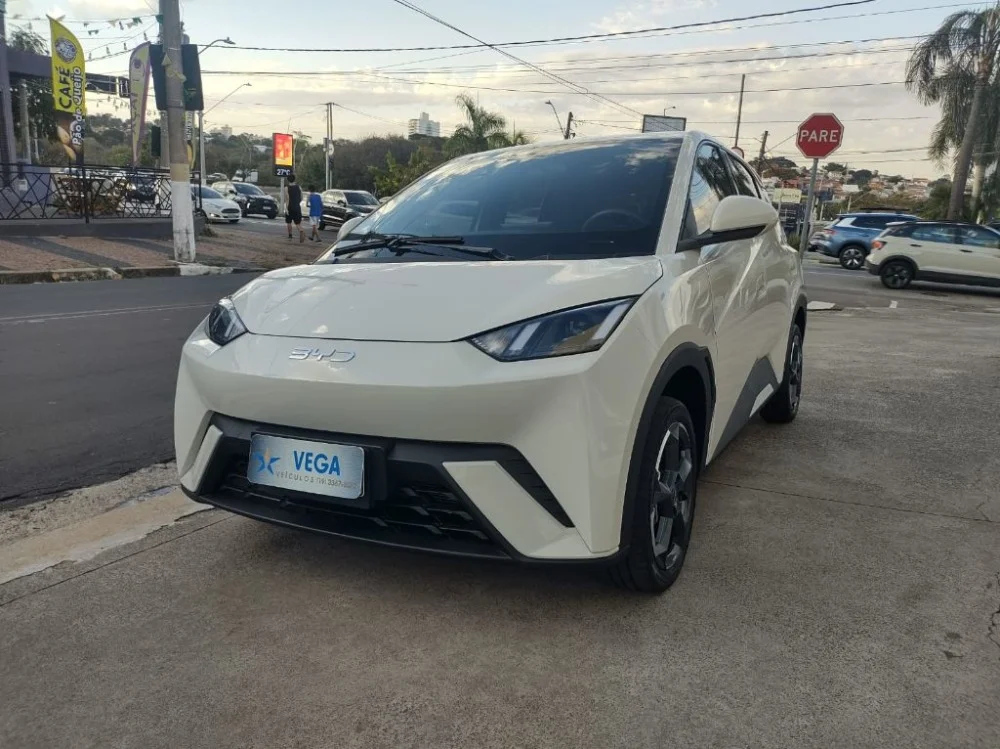 BYD Dolphin Mini GS (Elétrico)